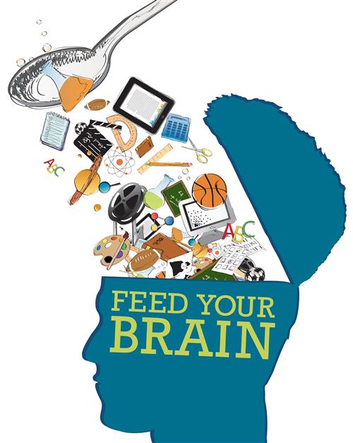 brain